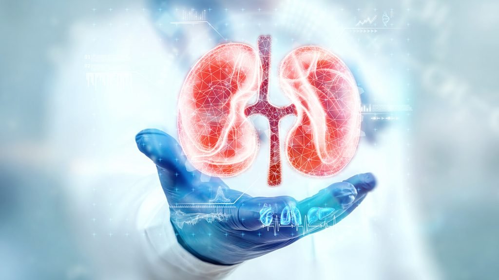 image-1716788528326-837446693-Urology image-1716788528326-837446693-Urology